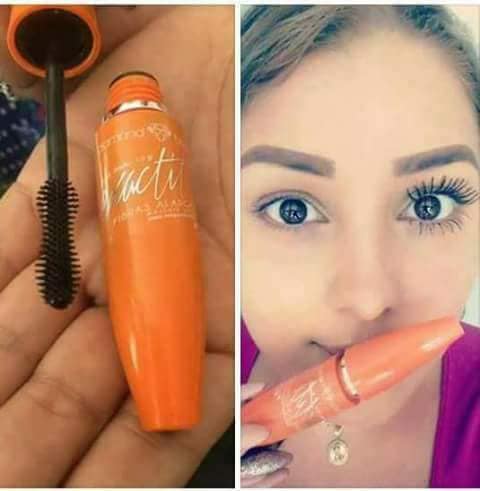 47369612_497118504129180_1743383596892160000_n